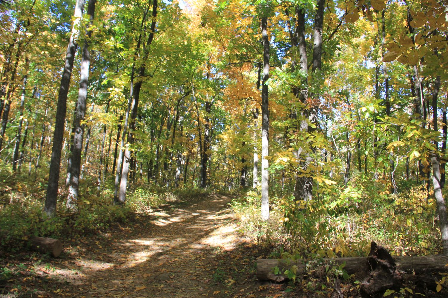 Appalachian Trail 